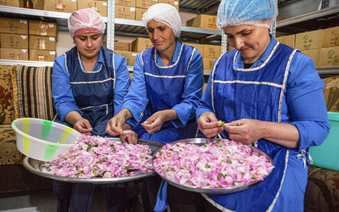 Natyr Naturkosmetik, Italien: Bio Naturkosmetik aus Fairem Handel – CONTIGO Fairtrade Shop Handelspartner