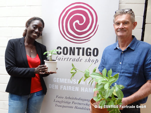 CONTIGO Handelspartner Végétaux d Ailleurs