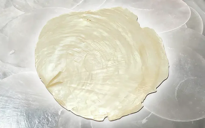 CONTIGO Material Capizmuschel
