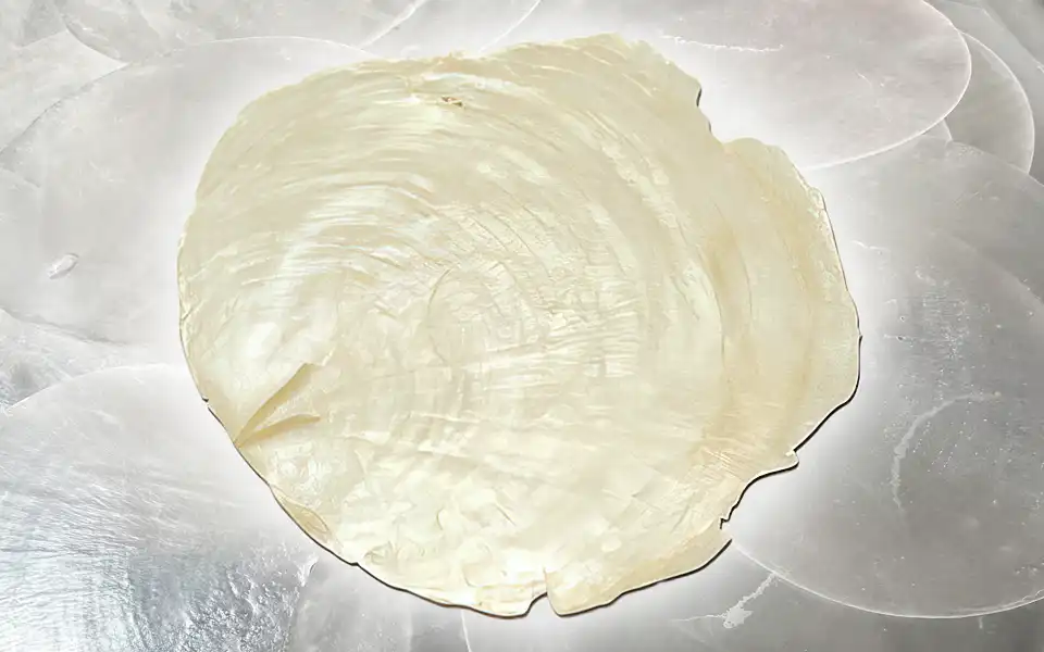 CONTIGO Material Capizmuschel