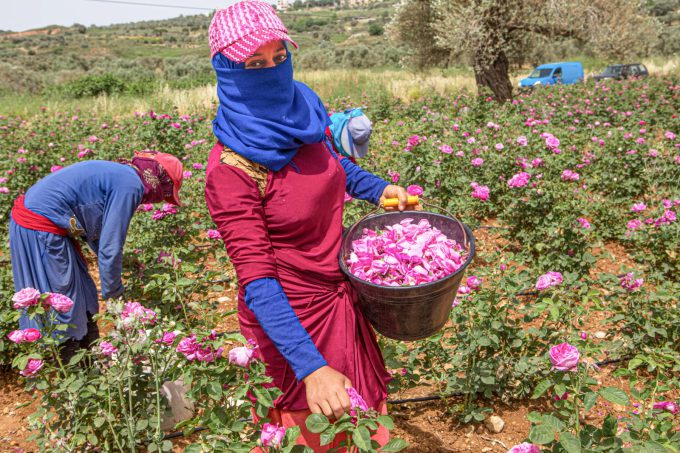 CONTIGO PARTNER Natyr&ndash; Fair Trade Lebanon