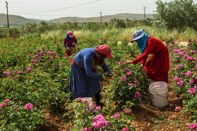 CONTIGO PARTNER Natyr&ndash; Fair Trade Lebanon