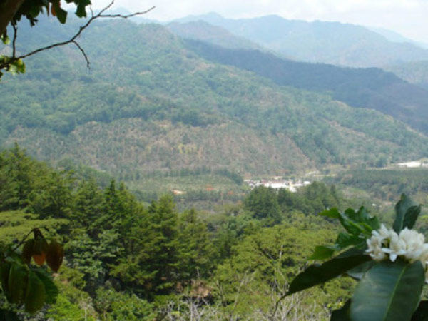 Mexiko Kaffee Partner CONTIGO Fairtrade Shop