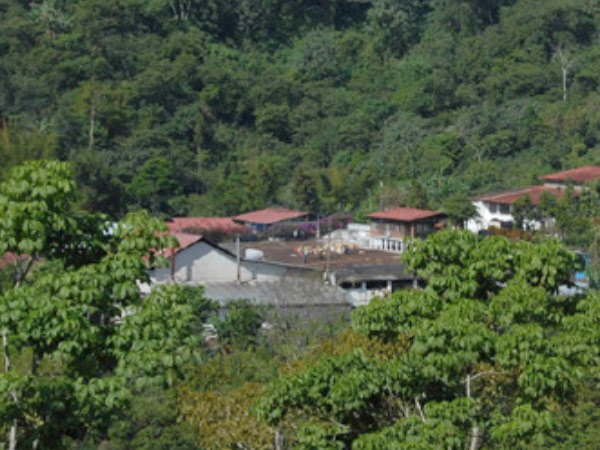 Mexiko Kaffee Partner CONTIGO Fairtrade Shop