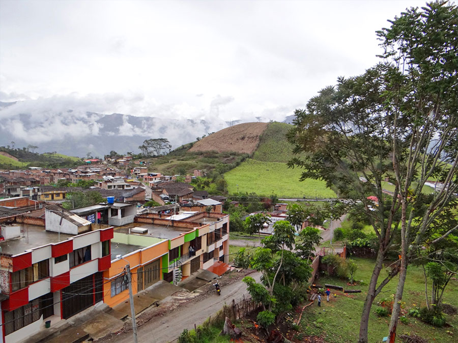 Fair Trade Panamahüte aus Kolumbien: Handgeflochtene Hüte von Montezuma - CONTIGO Fairtrade Shop