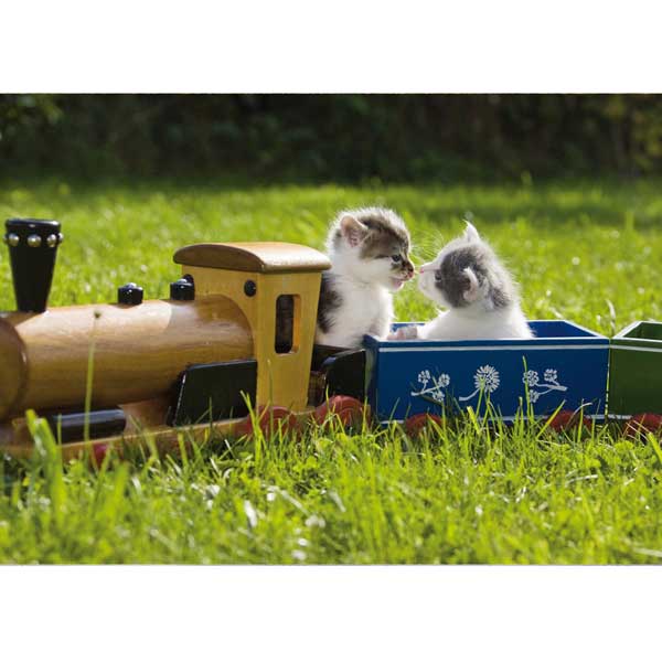NIQUEA.D Grußkarte 'Katzen Mit Partyhüten' – Quadratisch, 15,2 X 15,2 Cm, Inkl. Umschlag