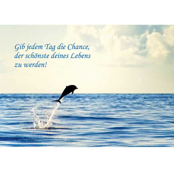 Grußkarte M  Springender Delfin