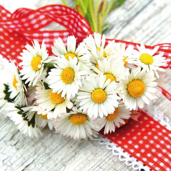 Grußkarte S Strauß aus Gänseblümchen Grußkarte S Strauß aus Gänseblümchen