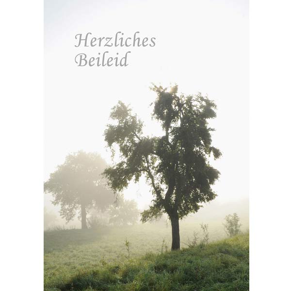 Grußkarte M hoch Herzliches Beileid