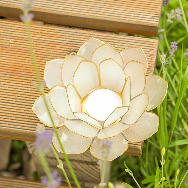 Kerzenhalter LOTUS 14cm weiß, Capiz / CONTIGO Fairtrade Onlineshop