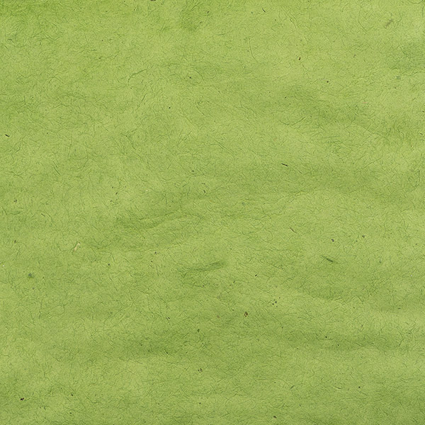 LOKTA Papierbogen, handgeschöpft, grün / CONTIGO Fairtrade Onlineshop