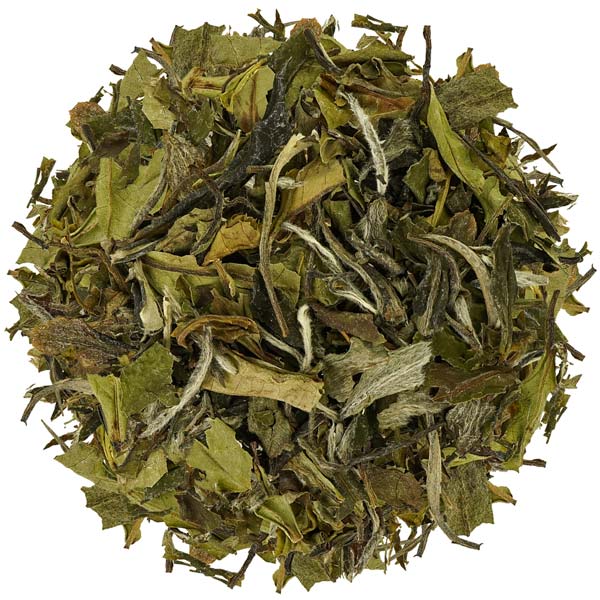 Pai Mu Tan GRÜNER TEE Bio 50g / CONTIGO Fairtrade Onlineshop