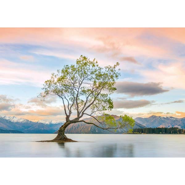 Grußkarte M Baum im Wanaka See