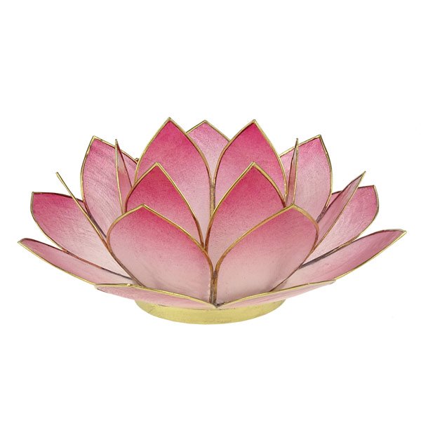 Kerzenhalter LOTUS 14cm rose, Capiz