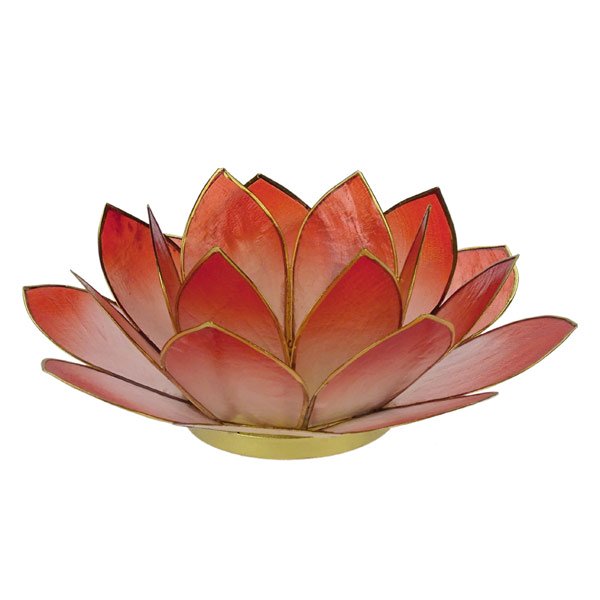 Kerzenhalter LOTUS 14cm kirschrot, Capiz