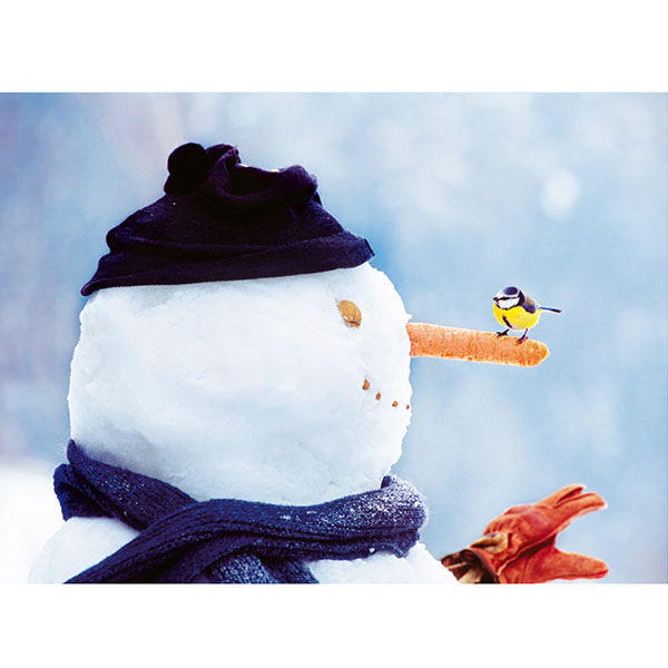 Grußkarte M Blaumeise mit Schneemann