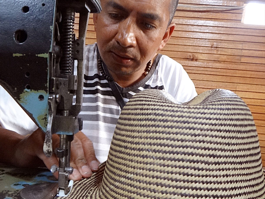 Fair Trade Panamahüte aus Kolumbien: Handgeflochtene Hüte von Montezuma - CONTIGO Fairtrade Shop