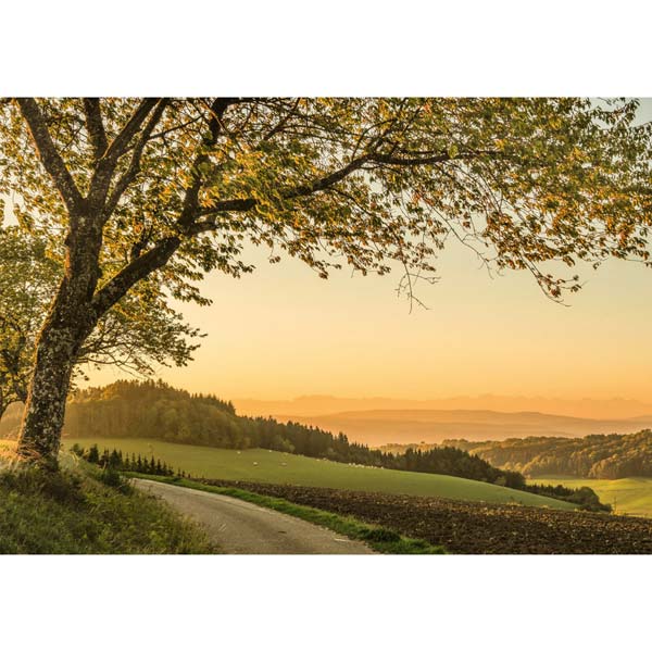 Grußkarte M Morgenlicht im Rheintal