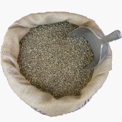 Rohkaffee Tüte Tansania Karagwe BIO Robusta / CONTIGO Fairtrade Onlineshop