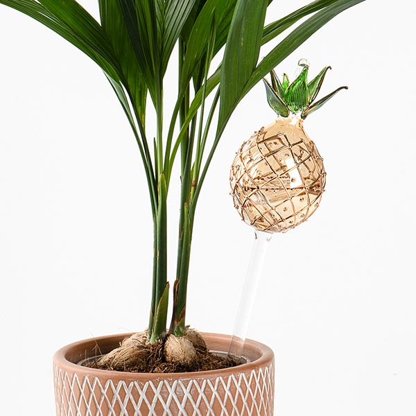 Bewässerungskugel Glas ANANAS 8cm, gold-grün / CONTIGO Fairtrade Onlineshop