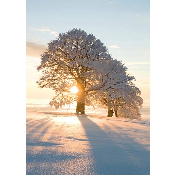 Grußkarte M Frohe Winterstimmung