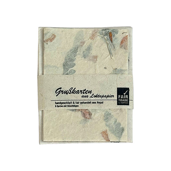 5 Mini Karten mit Umschlag FARN natural, Loktapapier handgeschöpft