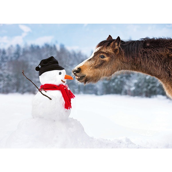 Postkarte M Pony mit Schneemann