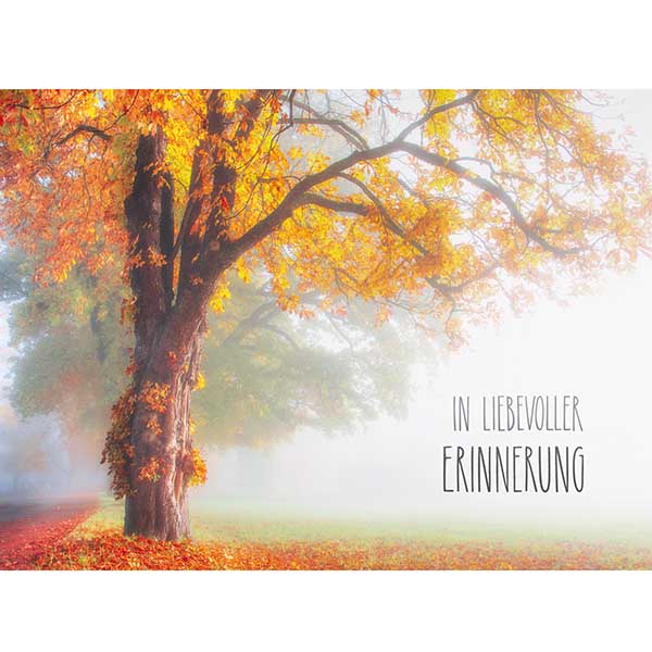 Grußkarte M In liebevoller Erinnerung Grußkarte M In liebevoller Erinnerung