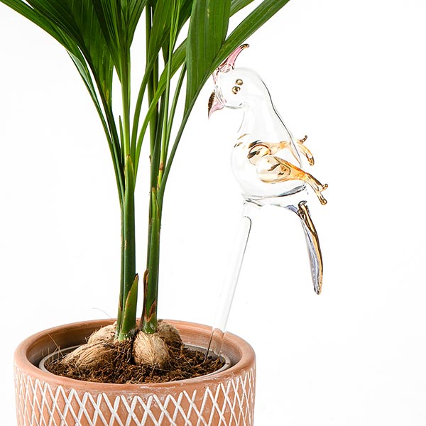 Bewässerungskugel Glas KAKADU 10cm, bunt / CONTIGO Fairtrade Onlineshop
