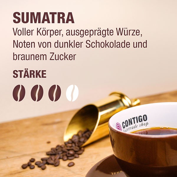 Indonesien Sumatra Kaffee BIO FAIR / CONTIGO Fairtrade Onlineshop