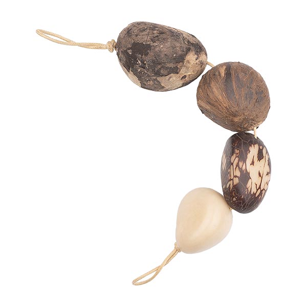 Tagua Nuss Musterstrang, 4 Nüsse