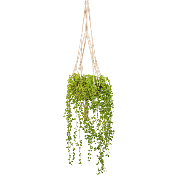Makramee Hängekorb Blumenampel, Jute, Kaisagras / CONTIGO Fairtrade Onlineshop
