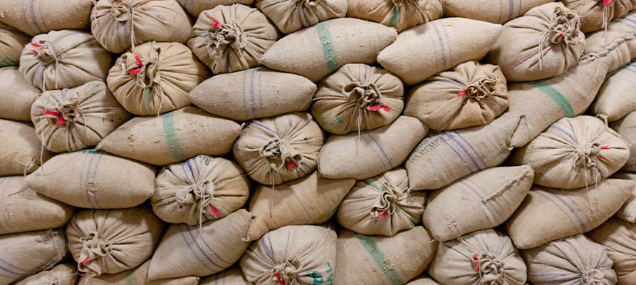 CONTIGO Kaffee in Kaffeesäcken aus Jute Die Rohkaffeebohnen werden in Kaffeesäcken gelagert für den Versand zu CONTIGO: Kaffeewissen über Bio Fair Trade Kaffeeanbau