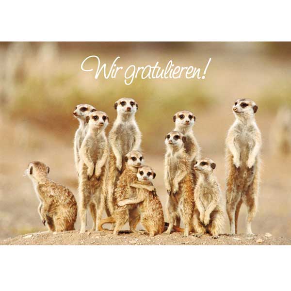 Grußkarte M Wir gratulieren