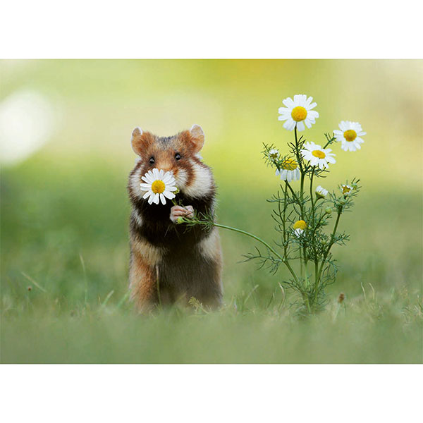 Postkarte M Hamster mit Blume