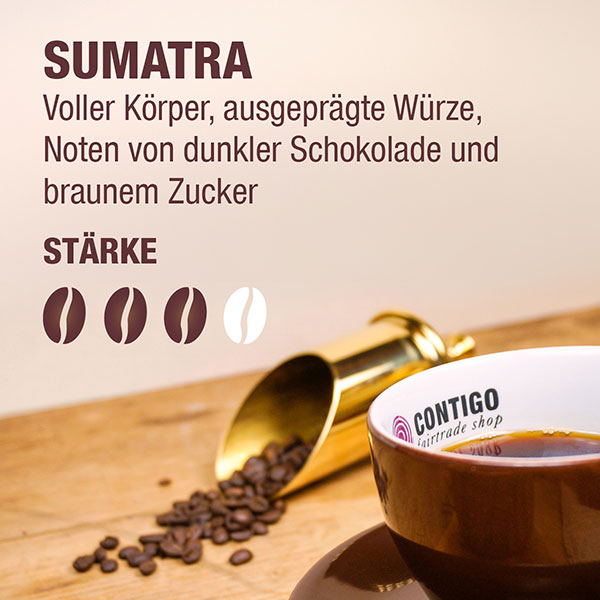 Bohne Indonesien Sumatra  BIO 5 Kg Tüte / CONTIGO Fairtrade Onlineshop