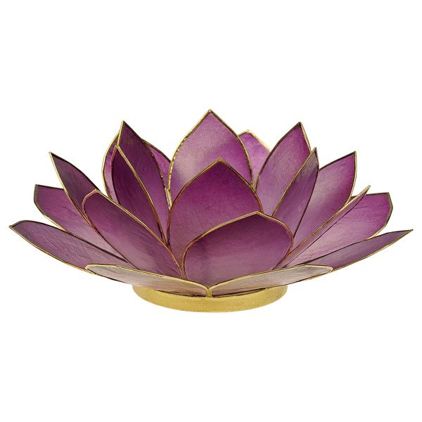 Kerzenhalter LOTUS 14cm violett, Capiz