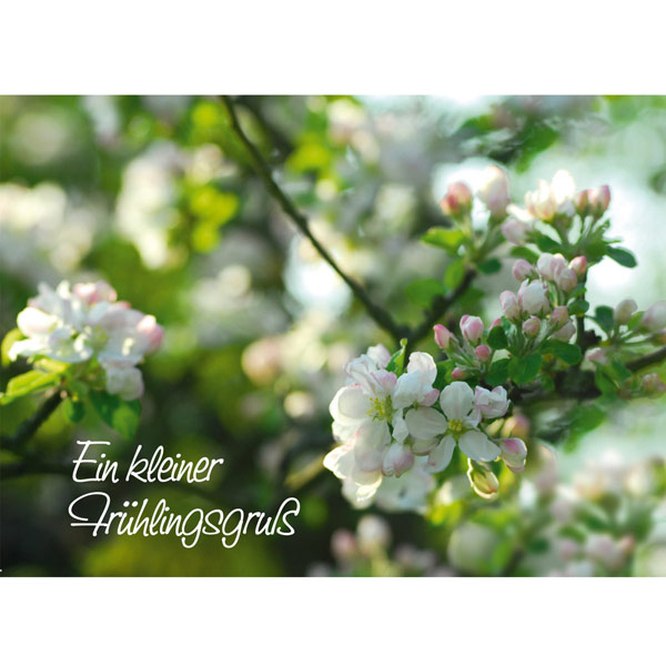 Grußkarte M Ein kleiner Frühlingsgruß