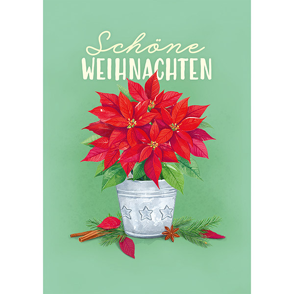 Grußkarte M Weihnachtsstern / CONTIGO Fairtrade Onlineshop