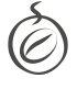 Fair Trade Bio Kaffee frisch geröstet | Kaffeerösterei | CONTIGO Fairtrade Shop