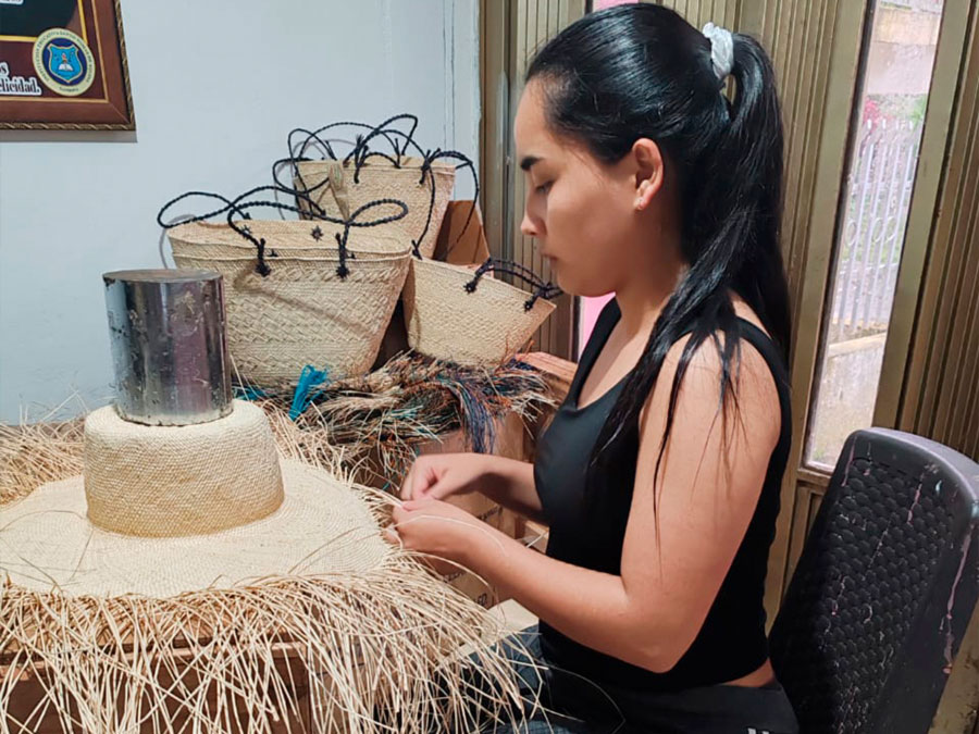 Fair Trade Panamahüte aus Kolumbien: Handgeflochtene Hüte von Montezuma - CONTIGO Fairtrade Shop