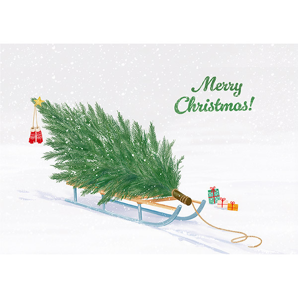 Grußkarte M Schlitten mit Weihnachtsbaum / CONTIGO Fairtrade Onlineshop
